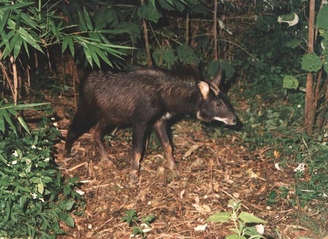 hinh-8-1441334723.jpg