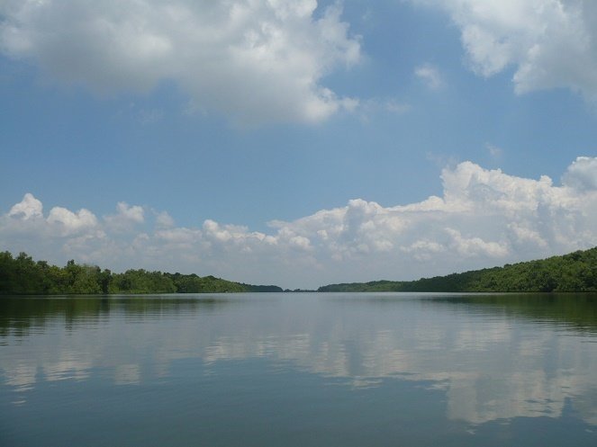 hinh-4-1445314322.jpg