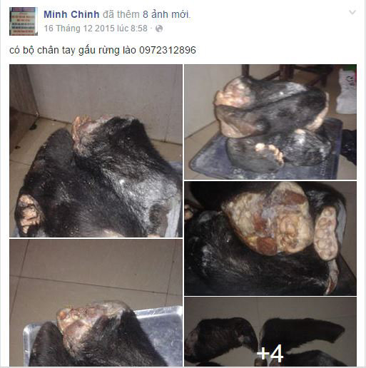 rao báo thú quí hiếm