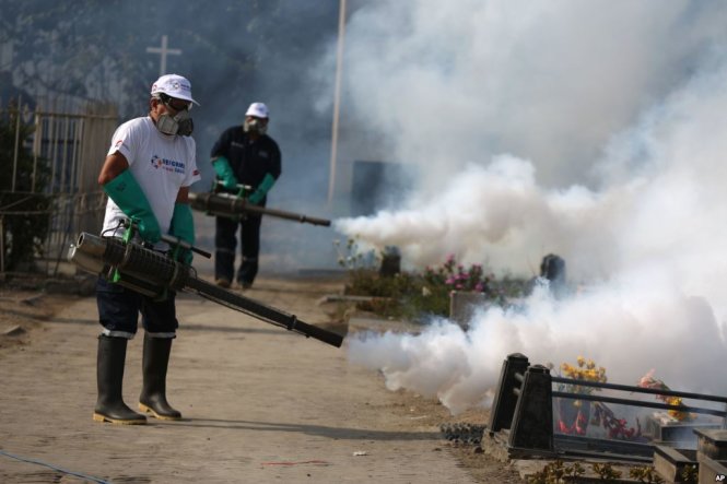 Văn phòng WHO phụ trách khu vực châu Mỹ ra cảnh báo về việc vi rút Zika sẽ lây lan toàn châu lục - Ảnh: Reuters