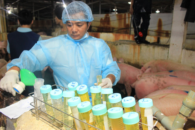 Nước tiểu sau đó được gom và mang lên xe chuyên dụng để xét nghiệm cho ra kết quả trong đêm - Ảnh: Hoàng Lộc