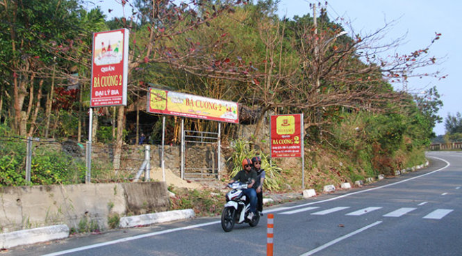 Hàng chục hộ dân được giao khoán đất rừng Sơn Trà đã không trồng rừng mà mở quán nhậu hoặc điểm du lịch sinh thái - Ảnh: Hữu Khá