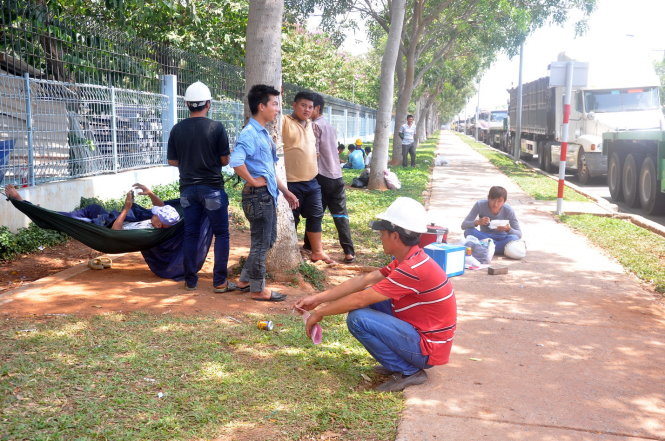 Tài xế ngồi chờ lấy phiếu để nhận thép tại huyện Tân Thành, Bà Rịa - Vũng Tàu - Ảnh: Đông Hà