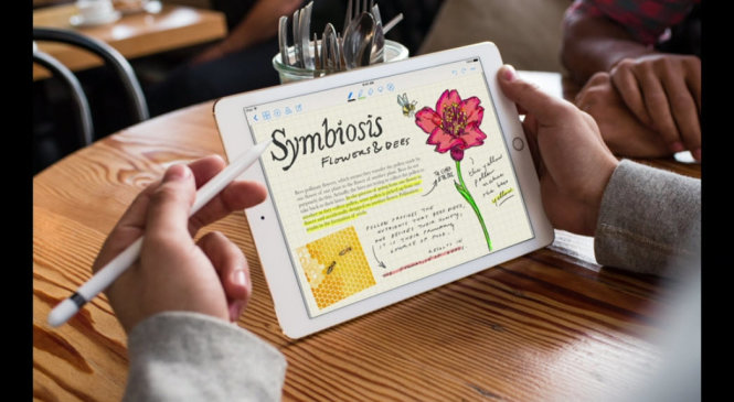 Bút điện tử Apple Pencil dùng kết hợp với iPad Pro
