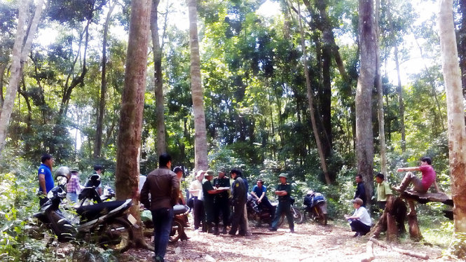 Vị trí đề xuất xây dựng hai thủy điện trong khu bảo tồn Kon Chư Răng - Ảnh: B.D.