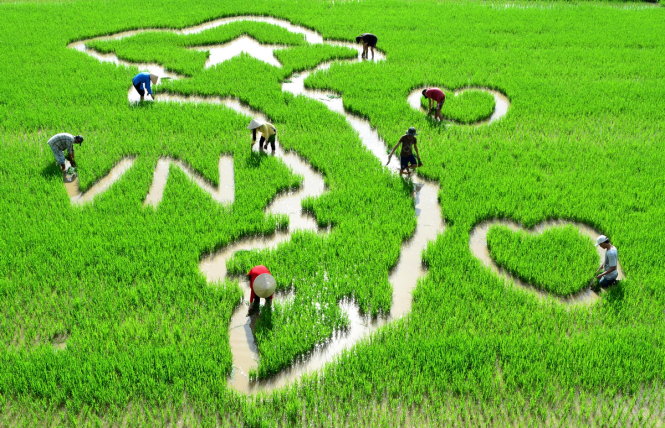 Đất Việt - Ảnh: Lưu Tính Thành