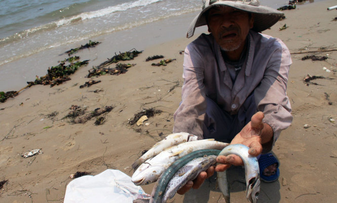 ca-chet-hang-loat-1-1461153628.jpg