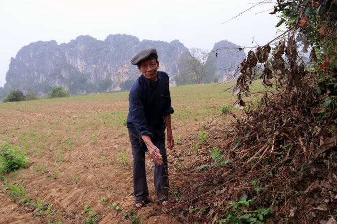 Ông Bùi Đức Tậu ở khu đất ven sông Mã, Thanh Hóa, nơi đào được trống vịt - Ảnh: Thái Lộc