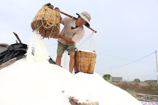 Dù trúng mùa nhưng diêm dân Cần Giờ không vui, do giá muối xuống thấp, thu không đủ bù chi - Ảnh: CÔNG TRUNG