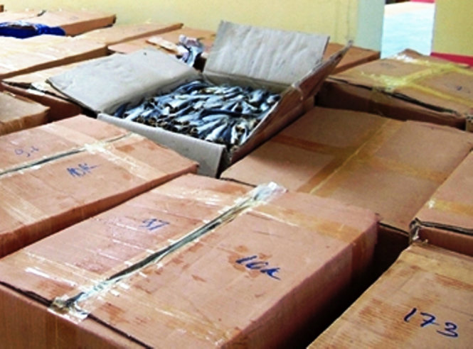 Cá khô được đóng trong các thùng giấy mang vào Nam tiêu thụ