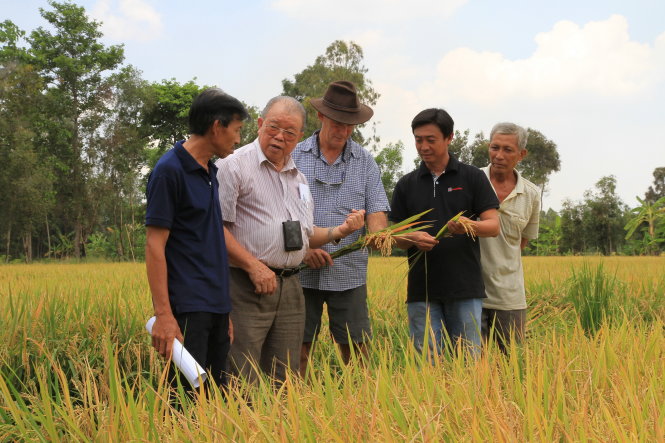 GS.TS Võ Tòng Xuân và chuyên gia nông nghiệp Úc tại cánh đồng xã Mỹ Hòa, huyện Tháp Mười, tỉnh Đồng Tháp - Ảnh: V.TR.