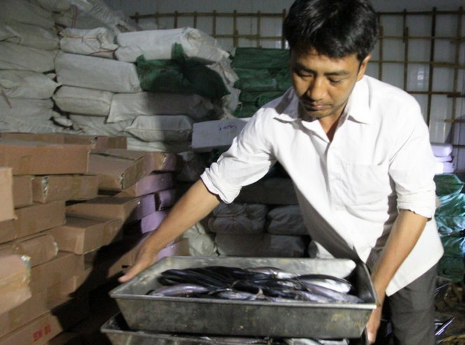 Lô cá nục suôn đông lạnh của bà Lê Thị Thuộc sẽ được lấy thêm mẫu để xét nghiệm - Ảnh: QUỐC NAM