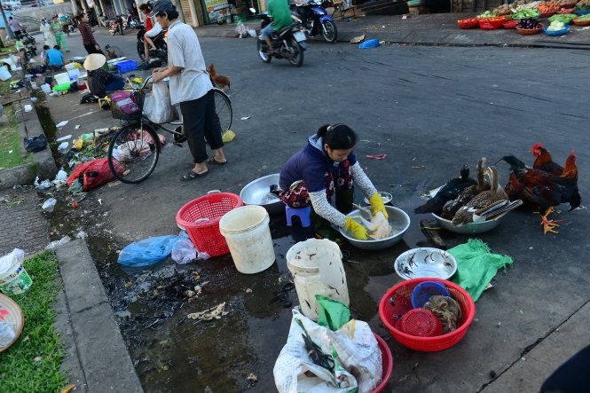 Thành phố sẽ quản lý an toàn vệ sinh thực phẩm thế nào khi còn cảnh làm gà trên đường đầy rác thế này? (ảnh chụp tại chợ tạm trên đường Nguyễn Ngọc Phương, Q.Bình Thạnh, TP.HCM) - Ảnh: Q.ĐỊNH