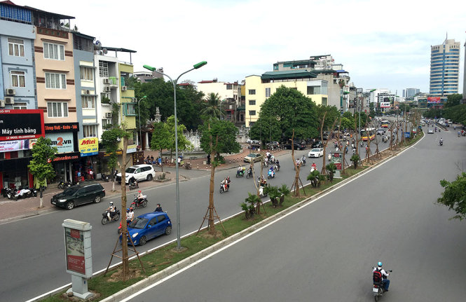 Hàng phượng vĩ mới được trồng ở dải phân cách trên phố Xã Đàn - Ảnh: V.V.TUÂN