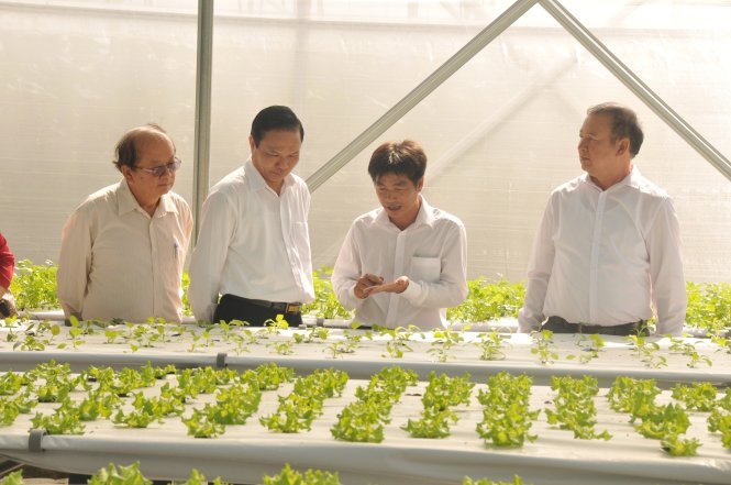 Mô hình trồng rau thủy canh hôi lưu đang được triển khai tại trung tâm - Ảnh: B.L