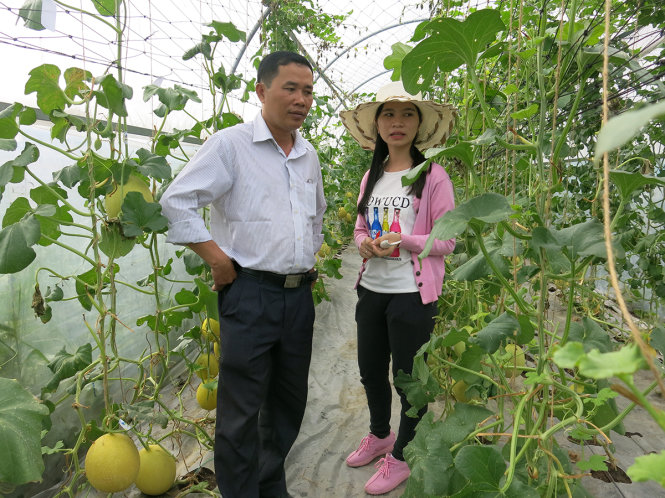Tư vấn cách trồng dưa cho khách tham quan - Ảnh: THÙY TRANG