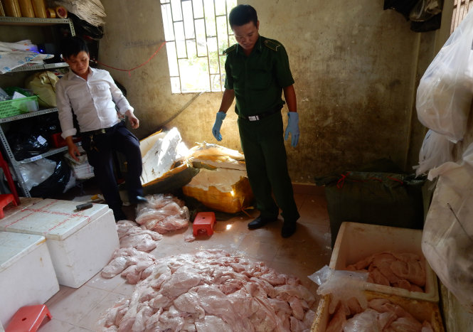 Cán bộ đoàn liên ngành kiểm tra lô vú heo - Ảnh H.L