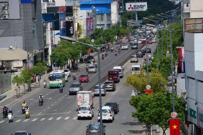 Hai hàng cây long não trên đường Nguyễn Văn Trỗi, Q. Phú Nhuận, TP.HCM (ảnh chụp trưa 18-9) - Ảnh: QUANG ĐỊNH