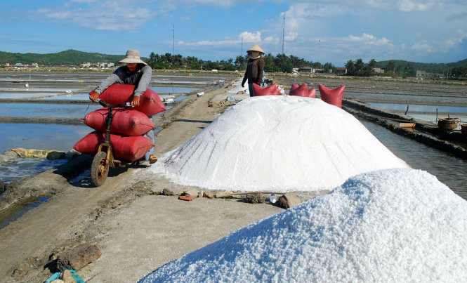 Cánh đồng muối Sa Huỳnh nằm trên địa bàn xã Phổ Thạnh, huyện Đức Phổ ở phía nam tỉnh Quảng Ngãi - Ảnh: Trà Giang
