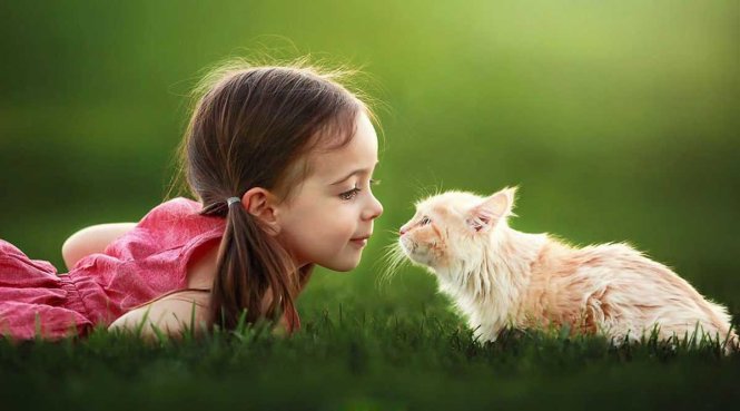 Bé Mia và bạn mèo - Ảnh: SUZY MEAD