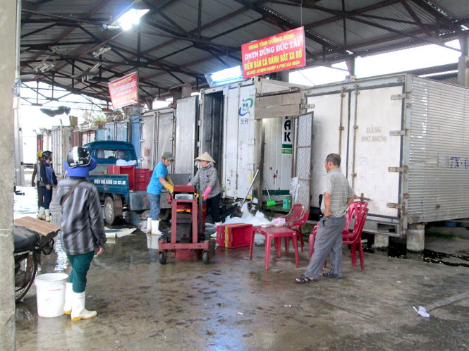 Hải sản thu mua được cấp đông tại cơ sở Dũng Đức Tài ở cảng cá Nhật Lệ - Ảnh: Ảnh L.GIANG