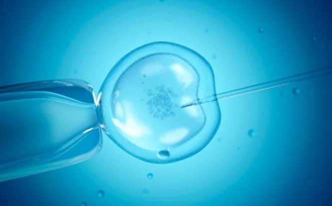 Với khái niệm mới, những người độc thân cũng có thể được ưu tiên tiếp cận biện pháp thụ tinh nhân tạo - Ảnh: Telegraph