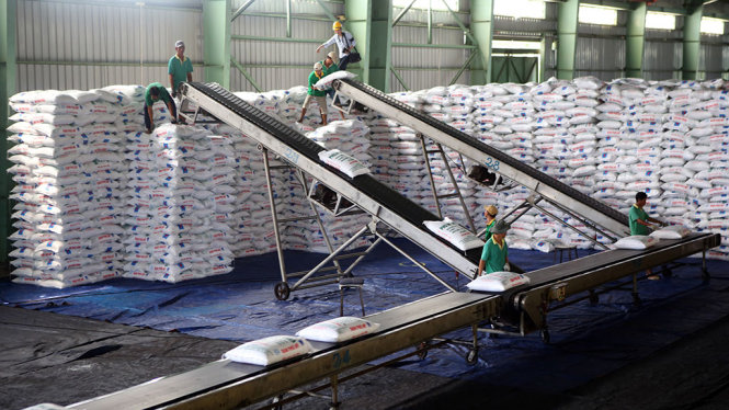 Vận chuyển đạm Phú Mỹ tại kho hàng của Tổng công ty Phân bón và hóa chất dầu khí ở Cần Thơ - Ảnh: TTXVN