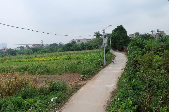 Khu nghĩa trang Bãi Xém ở bên phải con đường này, khu 1,1ha đất nông nghiệp dự kiến thu hồi làm nghĩa trang ở bên trái đường nên người dân cho rằng đây là dự án làm nghĩa trang mới, chứ không phải cải tạo nghĩa trang cũ - Ảnh: XUÂN LONG