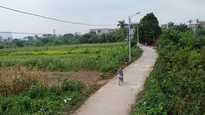 Nghĩa trang cũ thôn Bắc Cầu nằm bên phải con đường. Còn khu vực dự kiến làm nghĩa trang mới là khu đất nông nghiệp 1,1ha (bên trái đường). Việc lấy 1,1ha đất nông nghiệp làm nghĩa trang mới chỉ cách trạm cấp nước 50m bị người dân phản đối vì nhiều lo ngại về môi trường và quá gần khu dân cư.