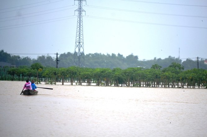 Nước lũ nhấn chìm cánh đồng đu đủ làng rau Bầu Tròn (xã Đại An, huyện Đại Lộc) - Ảnh: LÊ TRUNG