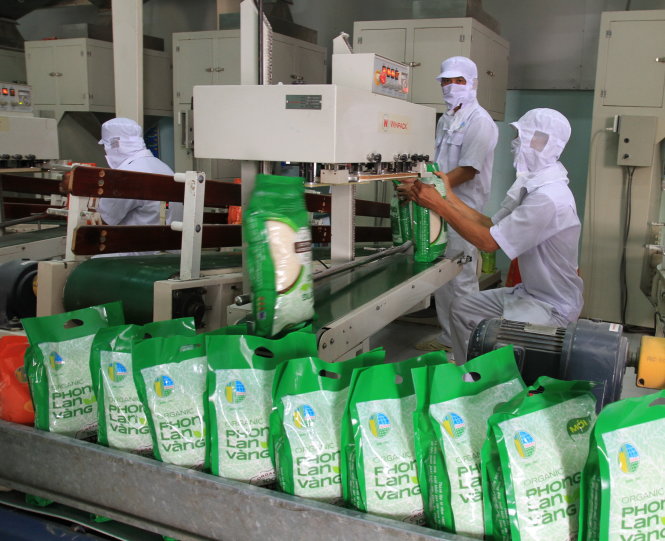 Đóng gói gạo hữu cơ tại Công ty Lương thực Tiền Giang - Ảnh: V.TR.