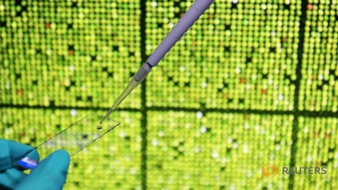 Một trung tâm thụ tinh trong ống nghiệm (IVF) - Ảnh: Reuters