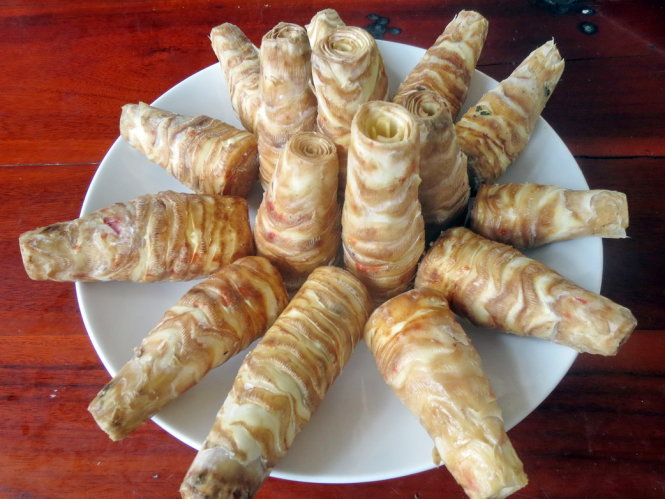 Cổ hũ khóm tươi