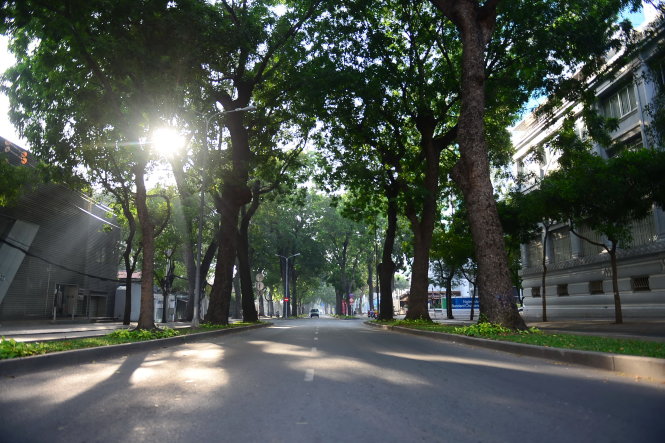 Không khí trong lành ở đường Tôn Đức Thắng, Q.1 - Ảnh: HỮU THUẬN