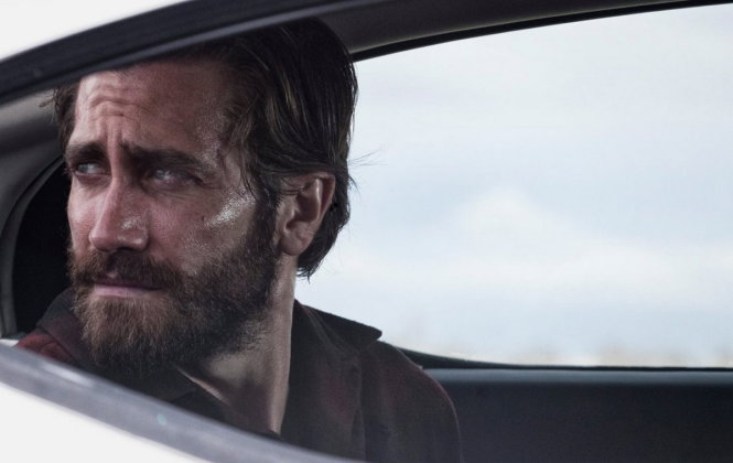 Nocturnal Animals