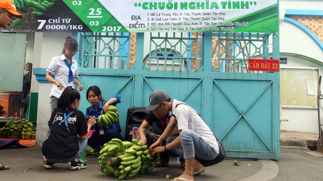 Mỗi người một công việc. Từ những quầy chuối chặt từ vườn của bà con nông dân ở Đồng Nai, sau khi tập kết về các địa điểm để bán, các bạn sinh viên chẻ ra thành từng nải để bán - Ảnh: M.Phượng