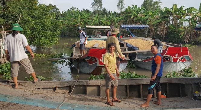Nhiều chuyên gia cho rằng cần cải tổ, bình thường hóa VFA để tránh khả năng lợi ích nhóm, làm méo mó thị trường xuất khẩu gạo. Trong ảnh: đưa lúa ra ghe đi tiêu thụ ở ĐBSCL - Ảnh: KHOA NAM