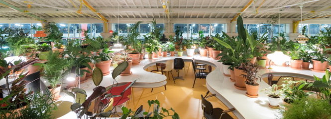 Khu văn phòng Second Home Lisboa được phủ xanh bởi 1000 chậu cây - Ảnh: