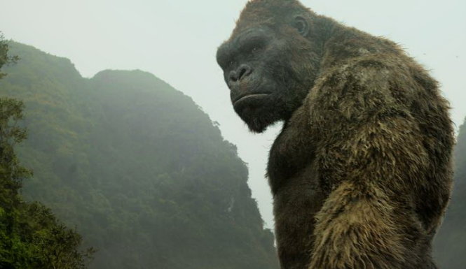 Những hình ảnh ấn tượng của Kong Skull Island, phim sẽ ra mắt khán giả toàn thế giới và VN từ 10-3 - Ảnh: CGV