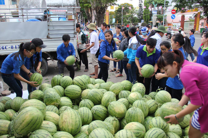 Không khí diễn ra rất khẩn trương vì thời tiết Quảng Ngãi đang vào những ngày mưa  - Ảnh: TRẦN MAI