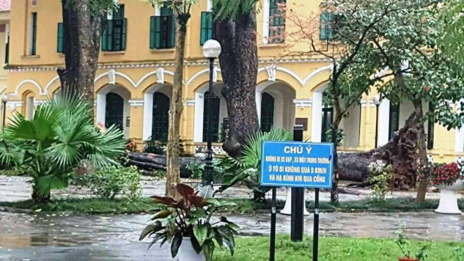 Hiện trường nơi xảy ra gây đổ gây thương tích cho học sinh - Ảnh: Hiệp Dương