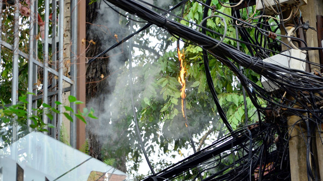 Lửa bùng lên sau khi nhánh cây gãy đập vào đường dây điện - Ảnh: Tâm Đức