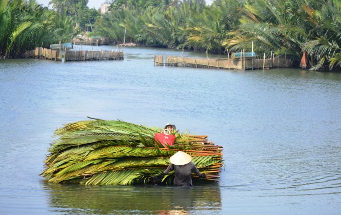 Hai mẹ con bà Lợi dầm mình dưới nước kéo chiếc ghe chở tàu dừa vừa mới cắt về nhà - Ảnh: Lê Trung