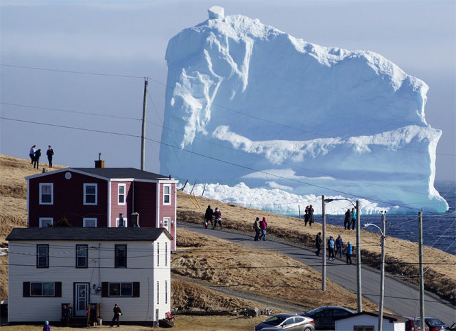 Núi băng sừng sững xuất hiện gần Ferryland