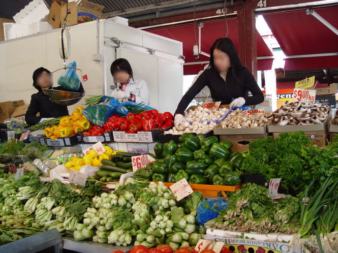 Những du học sinh Việt làm thêm việc bán rau củ tại Úc. Hình ảnh mang tính chất minh họa, không liên quan nội dung bài viết - Ảnh: Tuổi Trẻ