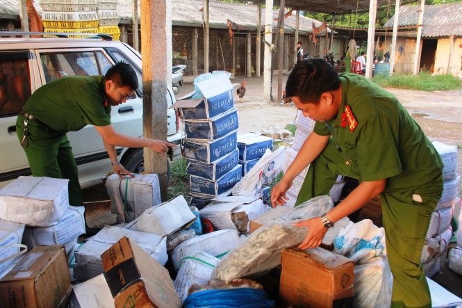 Cơ quan chức năng kiểm tra kho đông lạnh của Hợp tác xã Hà Hương - Ảnh: VĂN ĐỊNH
