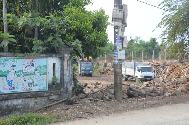 Bãi củi nằm sát bên hông trường mầm non - Ảnh: Thanh Ba