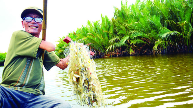 Người dân ở rừng dừa nước Cà Ninh...