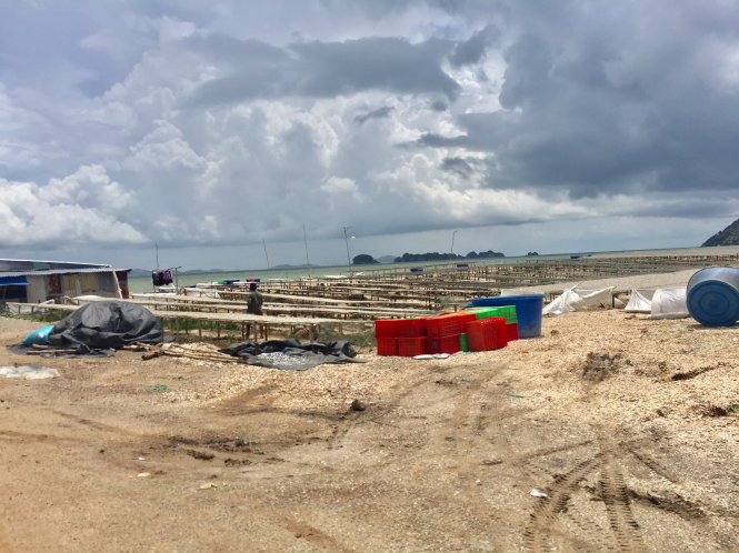 Khu vực hơn 5,3ha lấn biển trái phép - Ảnh: Nguyễn Triều