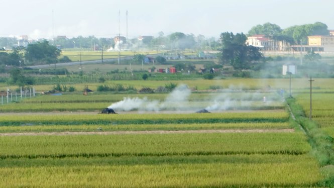 Cảnh đốt rơm rạ vẫn thường thấy ở các huyện ngoại thành sau mùa gặt. Ảnh chụp cảnh đốt rơm rạ trên địa bàn huyện Đông Anh, Hà Nội vào chiều 1-6 - Ảnh: Xuân Long